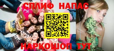 прущие грибы Апшеронск