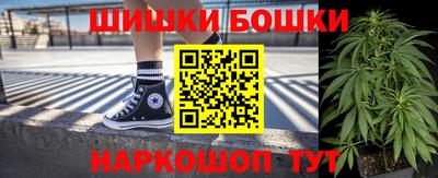 прущие грибы Апшеронск