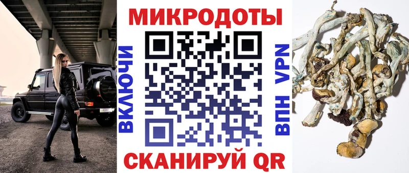 площадка как зайти  Маркс  Псилоцибиновые грибы мухоморы 