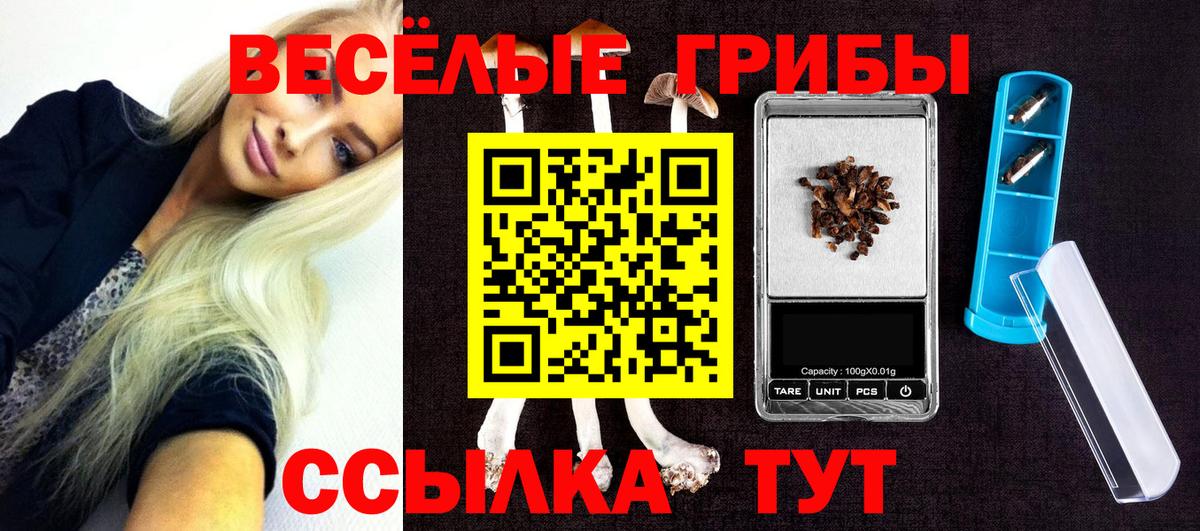 Галлюциногенные грибы мицелий Маркс