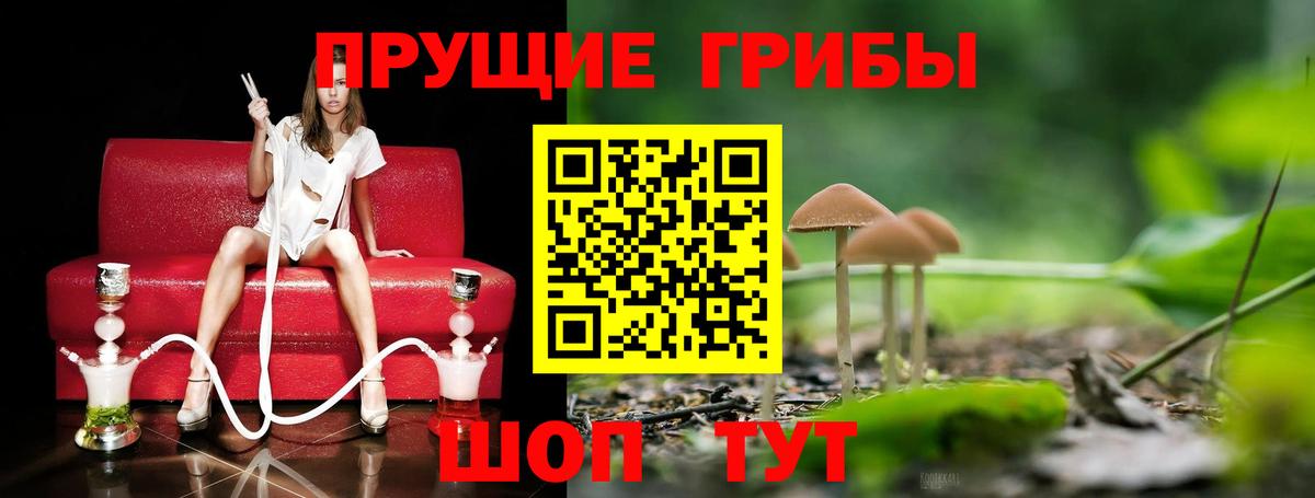 Маркс  Псилоцибиновые грибы ЛСД  Вход с VPN 